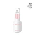 TOP Rubber Luster (средней вязкости) – 10ml